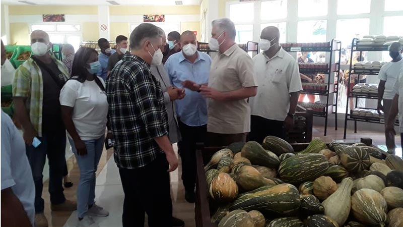 Visita Presidente cubano mercado agropecuario de nuevo tipo en Las Tunas