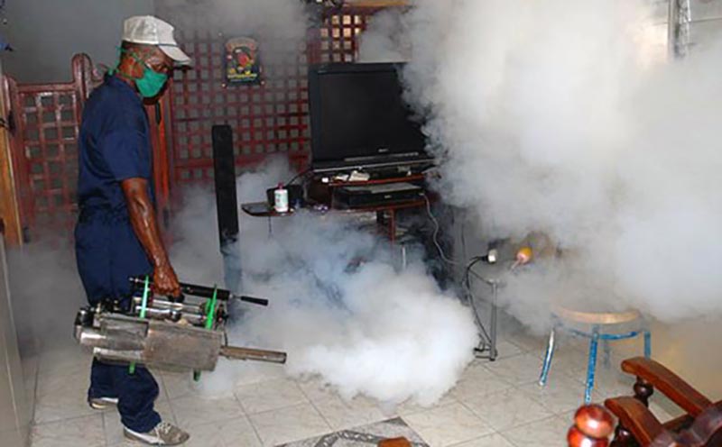 Intensifican fumigación en Las Tunas contra el mosquito Aedes aegypti