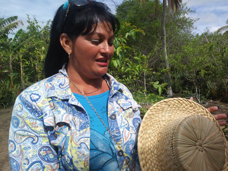 En Barranca, artesanías con malangueta