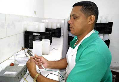 Escorpiones contra el cáncer Escorpiones contra el cáncer