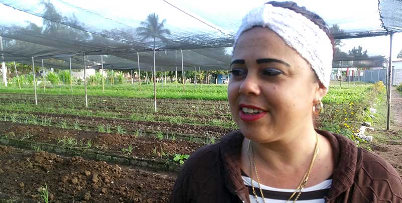 Realidad y retos de la agricultura urbana en Las Tunas