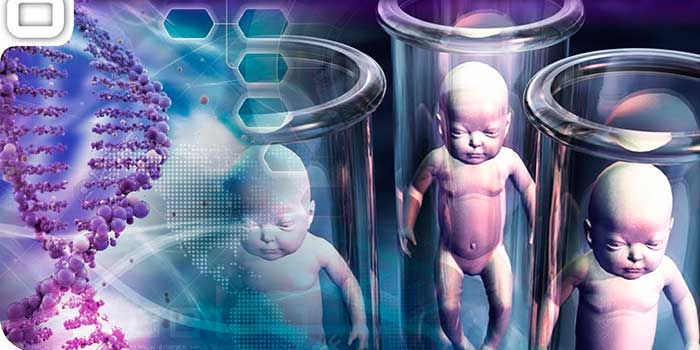 Descartan en China clonación humana tras nacimiento de primeros monos
