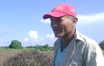 Vida a la tierra