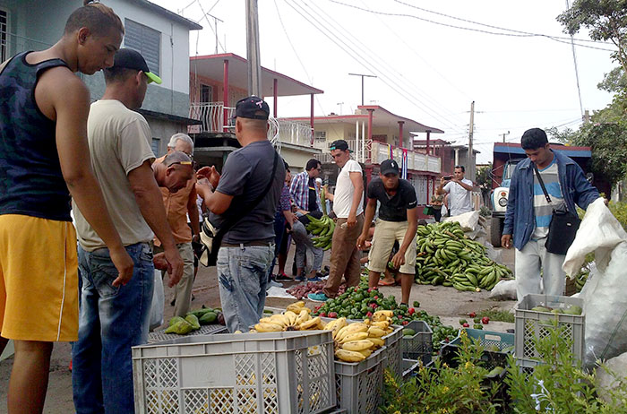 Un Jaleo mambí para recordar Un Jaleo mambí para recordar