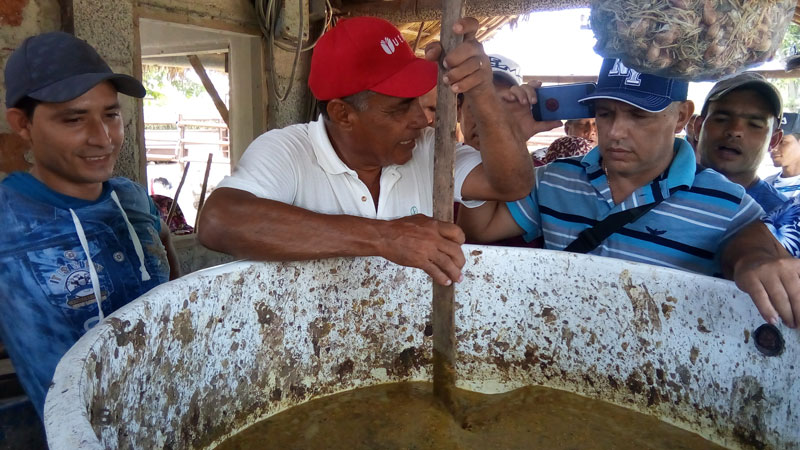 Incrementar el uso del biogás, necesidad creciente para los porcicultores de Las Tunas