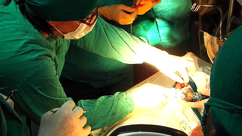 Realizan compleja cirugía pediátrica por primera vez en Las Tunas Realizan compleja cirugía pediátrica por primera vez en Las Tunas