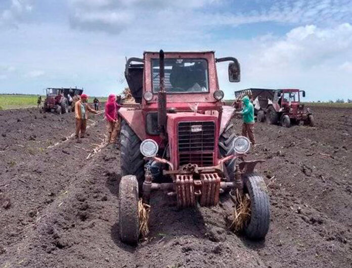 La Unidad Básica de Producción Cooperativa “Guabineyón 4”, del municipio tunero de Puerto Padre, se ubica en la vanguardia cañera en la provincia.