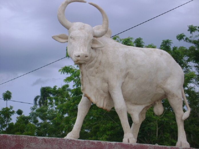 El toro Cornito, presencia y leyenda