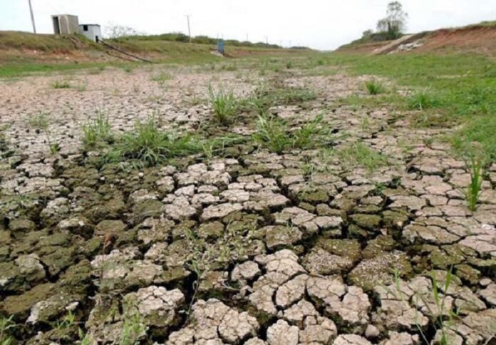 Mantienen acciones frente a la sequía al norte de Las Tunas