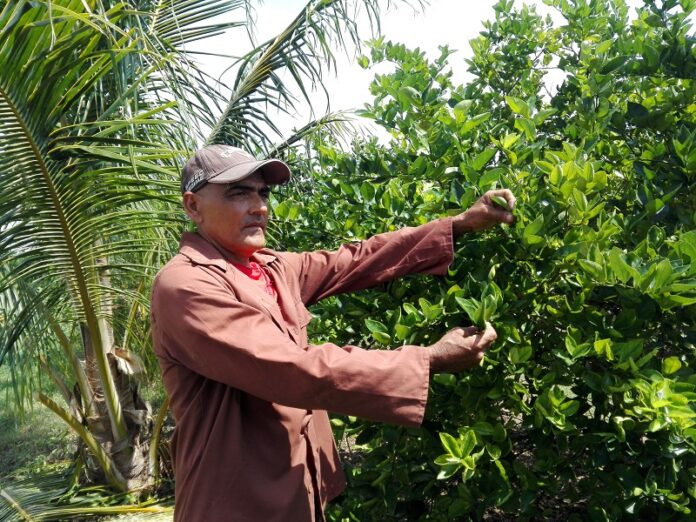 Campesino de Dumañuecos impulsa la agroecología en sus tierras