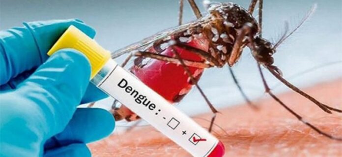 Inmersa Las Tunas en etapa intensiva para enfrentar el dengue