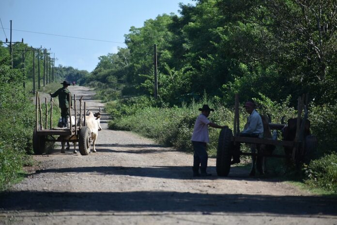 Comunidades rurales, decisivas en la producción de alimentos