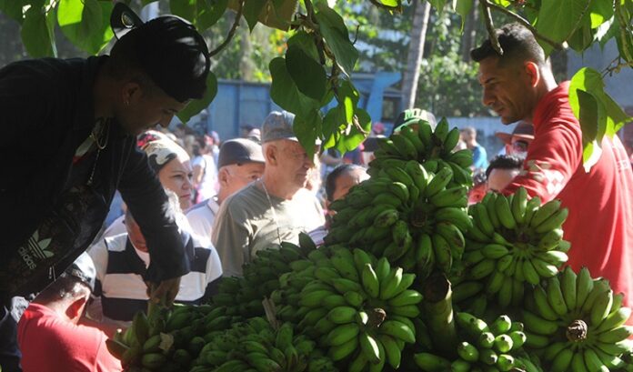 Anuncian feria agrocomercial para el próximo sábado