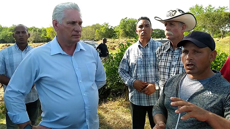 El presidente cubano Miguel Díaz-Canel, junto al productor Dixan Pérez Santos, en la finca La Fe, municipio de Manatí, Las Tunas. (Fotos MiguelDN).