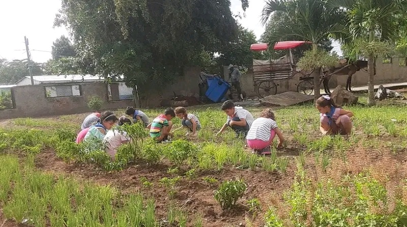 Fuerzas de Acción Pioneril activas en las 563 escuelas de Las Tunas