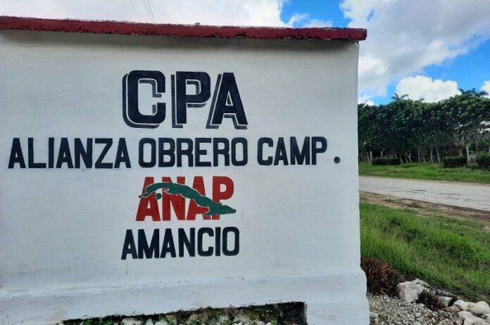Cooperativas tuneras, valiosas y comprometidas