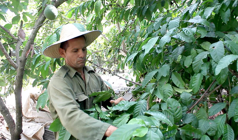 Alexander y su mundo campestre