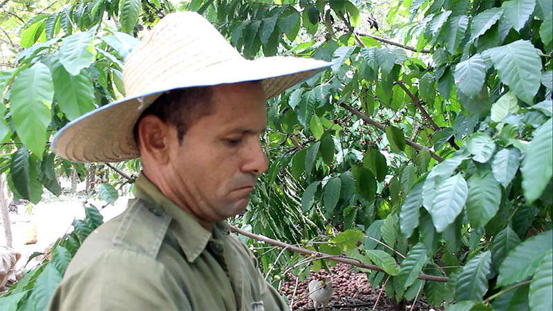 Alexander y su mundo campestre