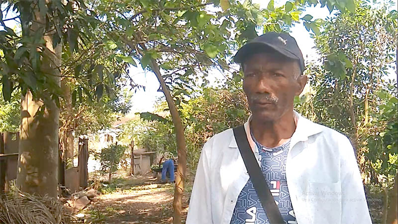 Microvertederos se convierten en organopónico que hoy produce alimentos en municipio de Colombia