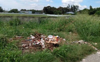 Higiene ambiental, problema de todos
