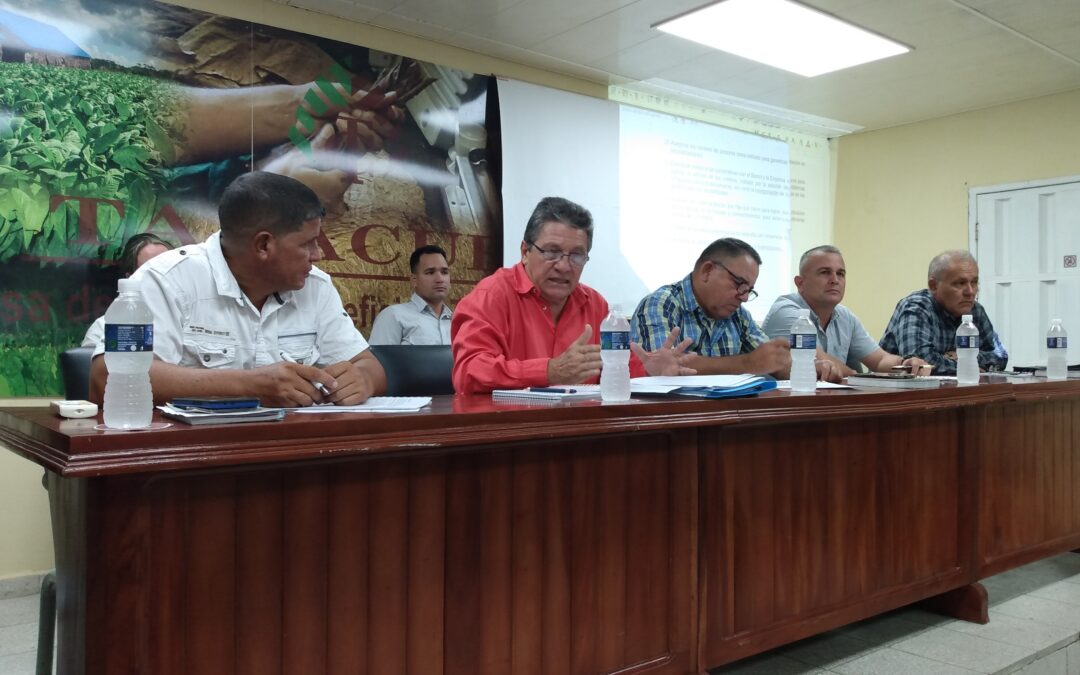 Plenaria tabacalera evalúa preparativos para próxima campaña