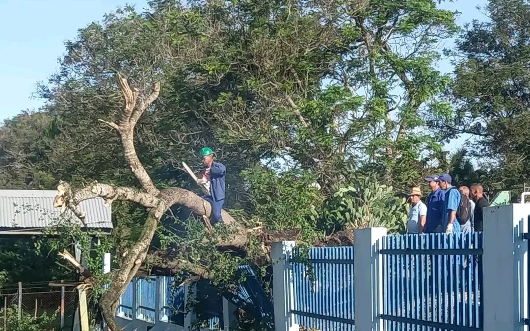 En Las Tunas se cuantifican daños del huracán Melissa