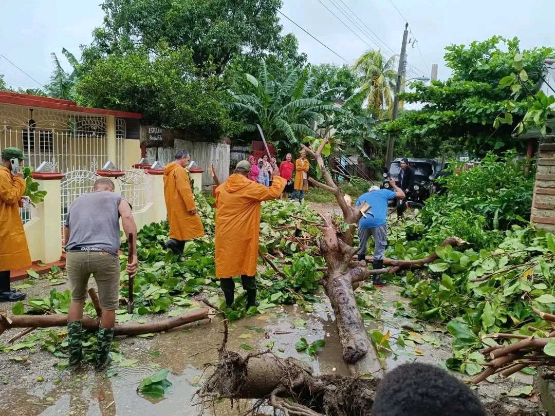 FB_IMG_17618714366306269