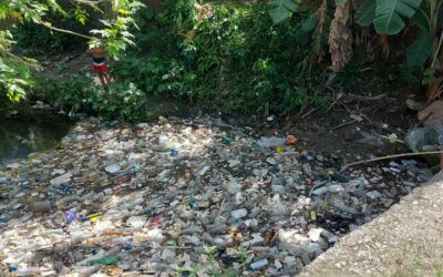 ¡Alerta! Cuidar el medio ambiente: una responsabilidad de todos
