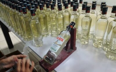 Inicia Derivados en Amancio sus producciones