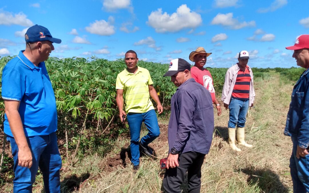 Primer secretario del Partido en Las Tunas recorre áreas de Colombia y Amancio
