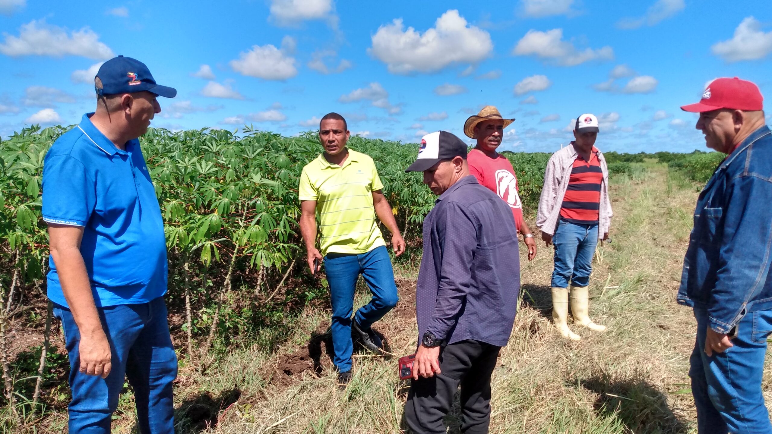 IMG_20251009_111147482_HDR