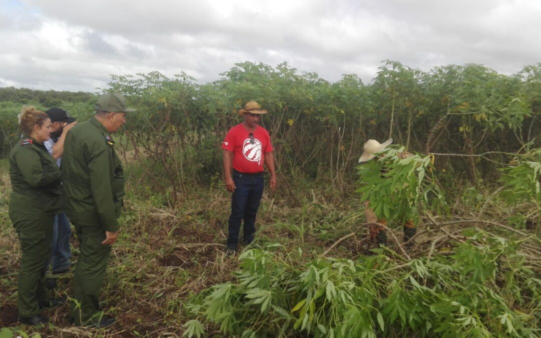 Puntualiza Consejo de Defensa Provincial medidas en Colombia ante cercanía de Melissa