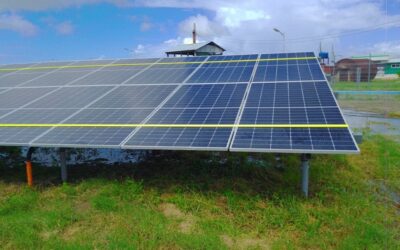 Trabajadores eléctricos resguardan parques solares fotovoltaicos