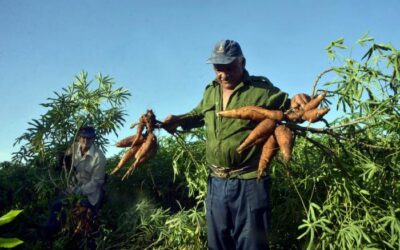 Ojo con la soberanía alimentaria. Algunas observaciones