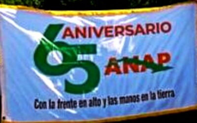 Bandera 65 Aniversario de la Asociación de Agricultores Pequeños recorrerá municipio Colombia