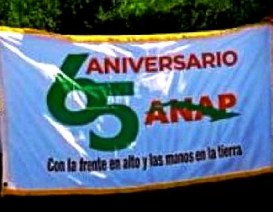 Bandera 65 Aniversario de la Asociación de Agricultores Pequeños recorrerá municipio Colombia