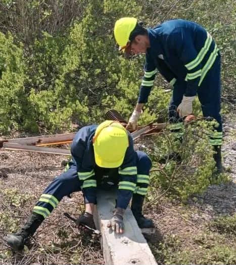 Trabajadores eléctricos restablecen servicio en Salinera Las Tunas 