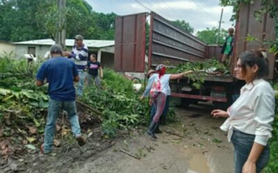 Realizan en Colombia jornada de limpieza e higienización