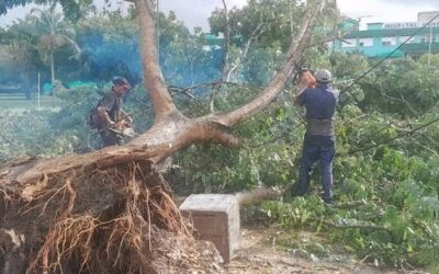 Conalza Las Tunas, otra vez protagonista en la recuperación