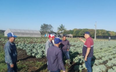  Recorre primer secretario del Partido Comunista de Cuba en Las Tunas formas productivas en Colombia