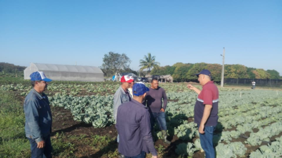  Recorre primer secretario del Partido Comunista de Cuba en Las Tunas formas productivas en Colombia