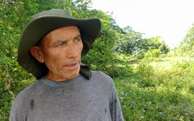 Los avatares de Rubén para producir alimentos