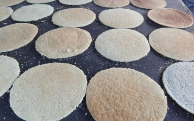 Urge potenciar alimentos alternativos