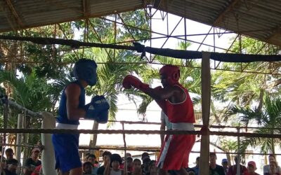 El ring tunero revive la gloria de Teófilo Stevenson 