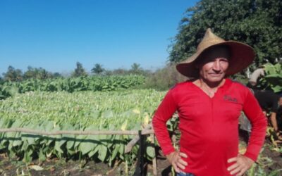 Roberto y su empeño de crecer