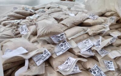 Productos biológicos, alternativa que apoya la siembra de cultivos varios