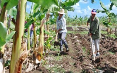 2026, un año para las agricultoras 