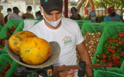Mipymes en Cuba: ¿Actores económicos o salvavidas comunitarios?