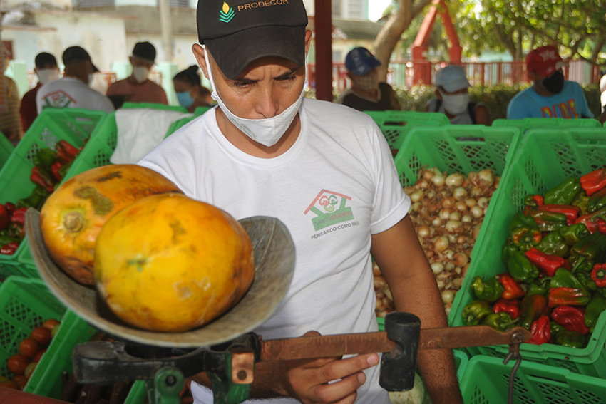 Mipymes en Cuba: ¿Actores económicos o salvavidas comunitarios?