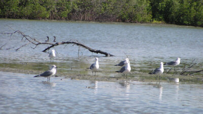 El patrimonio natural que debemos proteger 